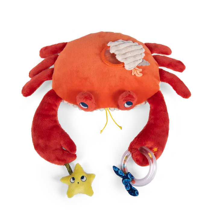 Granchio di grande attività - Moulin Roty