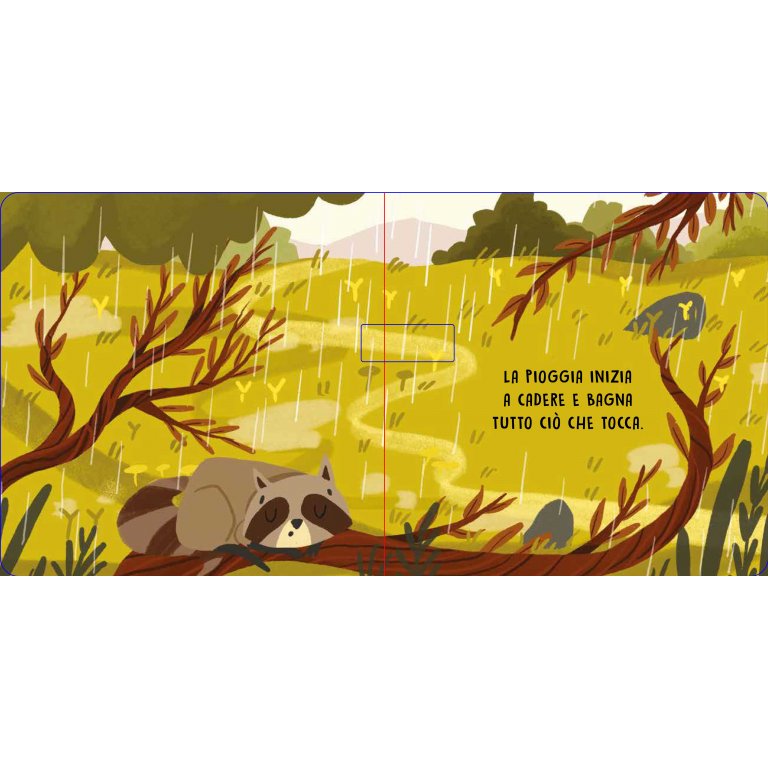Dolci Storie Sonore. La Natura - Sassi