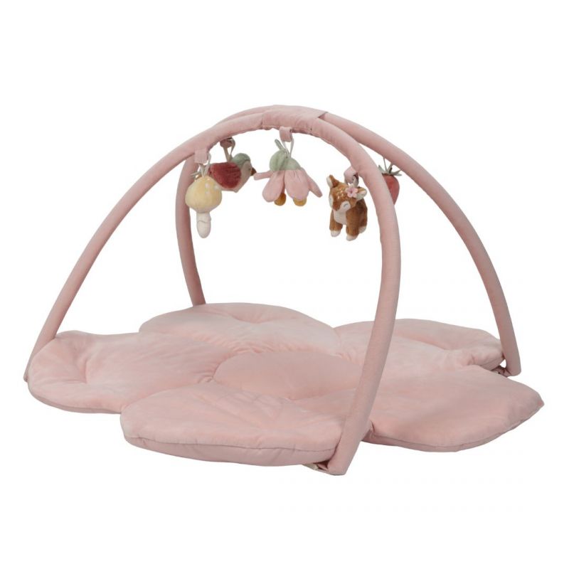 Palestrina morbida - Little Dutch