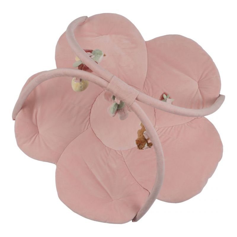 Palestrina morbida - Little Dutch