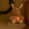 Luce notturna con suoni Baby Bunny - Little Dutch