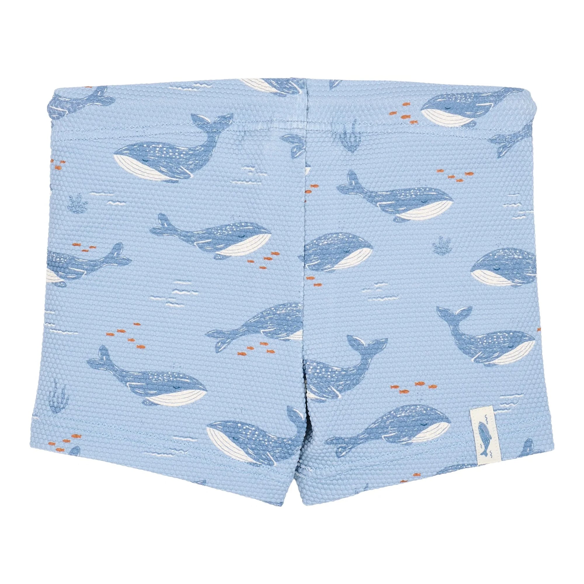 Costume pantaloncino Ocean Splash - Little Dutch