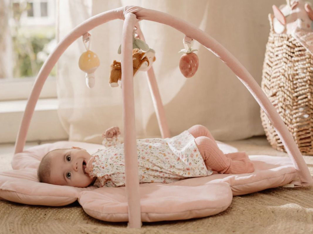 Palestrina morbida - Little Dutch