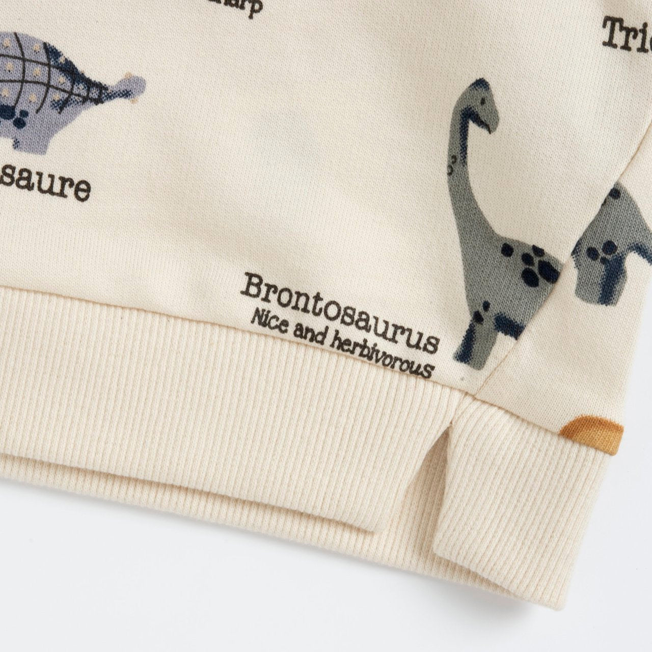 Felpa girocollo - Chicco