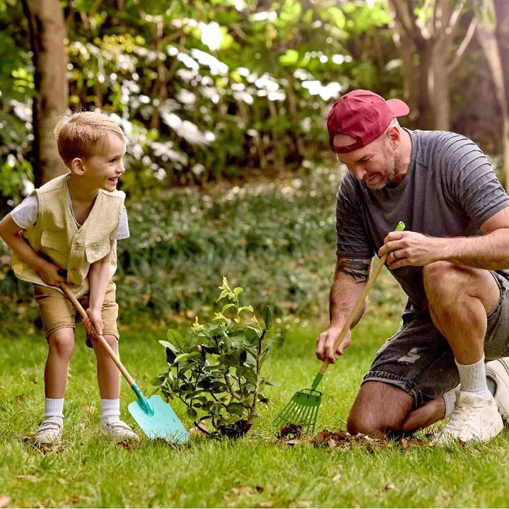 Vanga da giardino - Hape