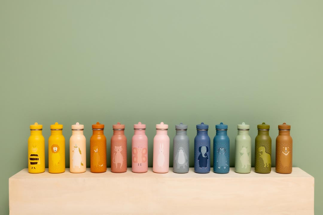 Borraccia Termica 500ml Mr. Lion - Trixie