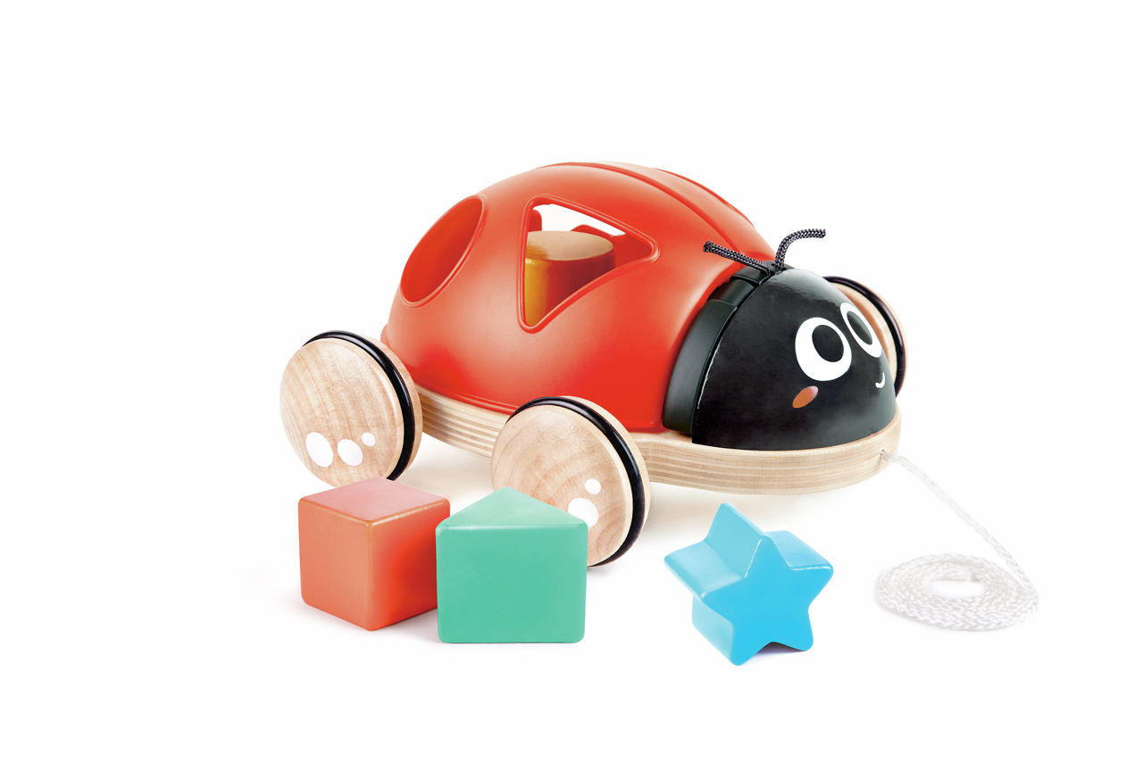 Coccinella Forme e Incastri - Hape