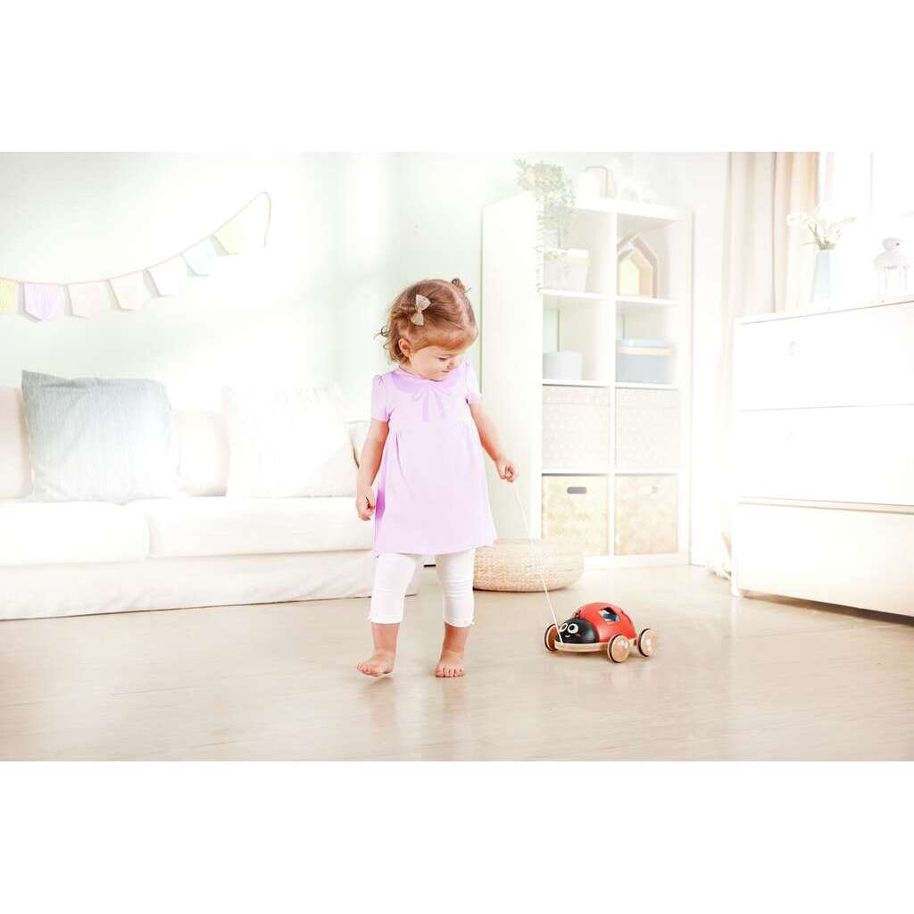 Coccinella Forme e Incastri - Hape