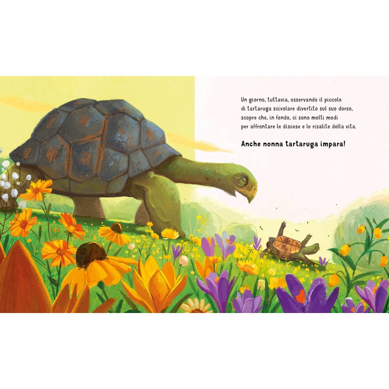 Libro "Anche i nonni imparano" - Sassi