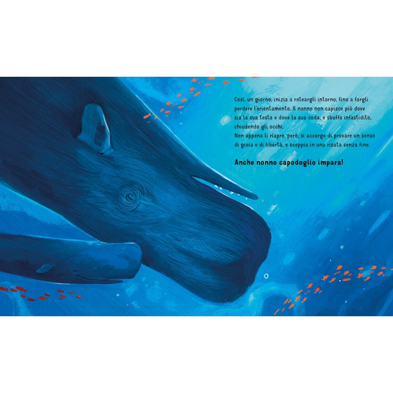 Libro "Anche i nonni imparano" - Sassi