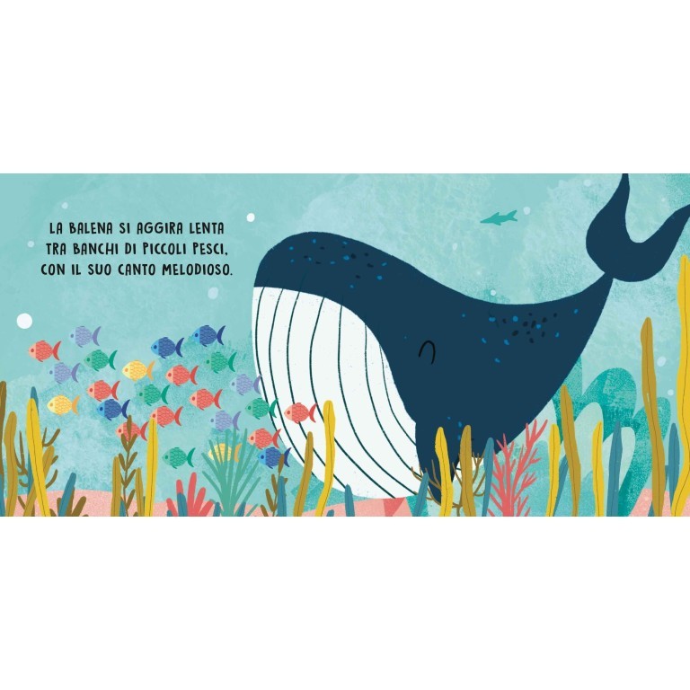 Dolci storie sonore, il mare - Sassi