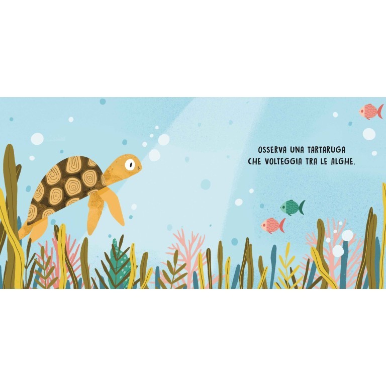 Dolci storie sonore, il mare - Sassi