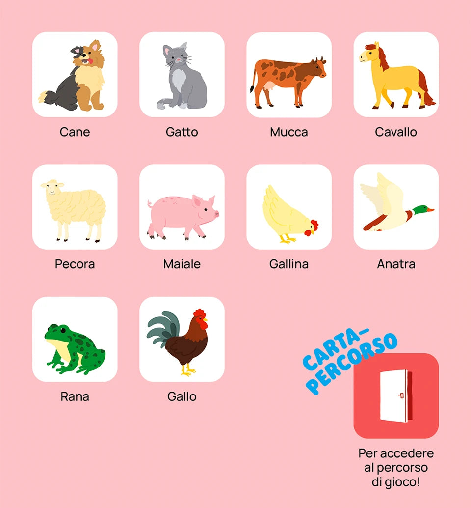 Prime scoperte: gli animali - FABA