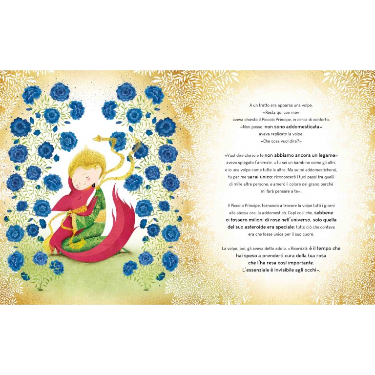 Libro "Il Piccolo Principe" - Sassi