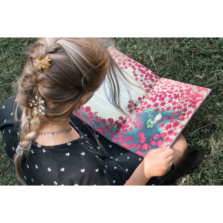 Libro "Il Piccolo Principe" - Sassi