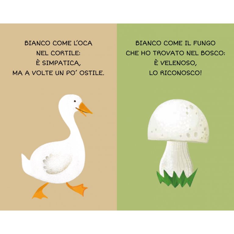 "La mia prima biblioteca-I Colori" - Sassi