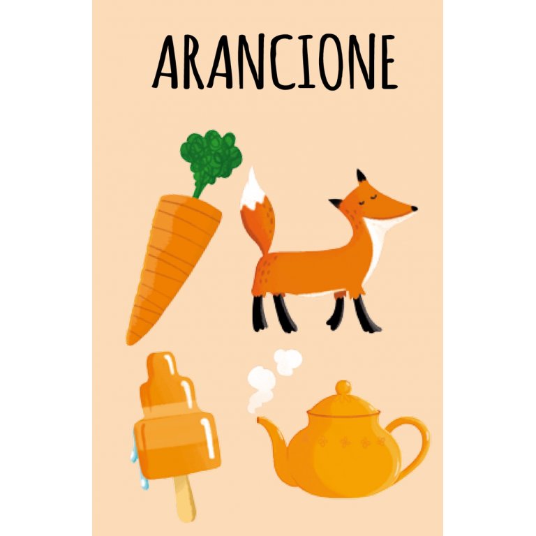 "La mia prima biblioteca-I Colori" - Sassi