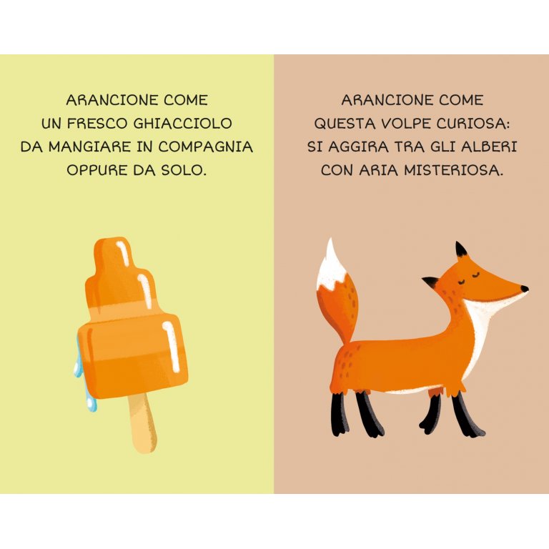 "La mia prima biblioteca-I Colori" - Sassi