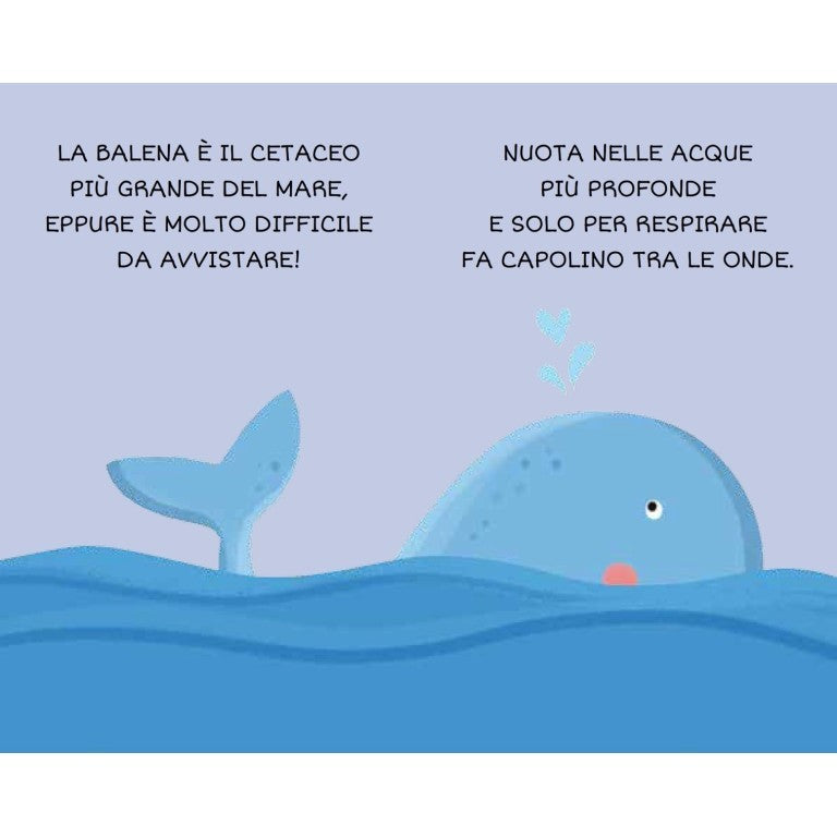 La mia prima biblioteca. Il mare - Sassi
