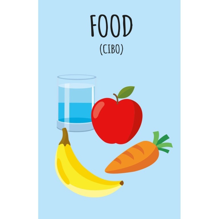 "La mia prima biblioteca-Imparo l'inglese" - Sassi