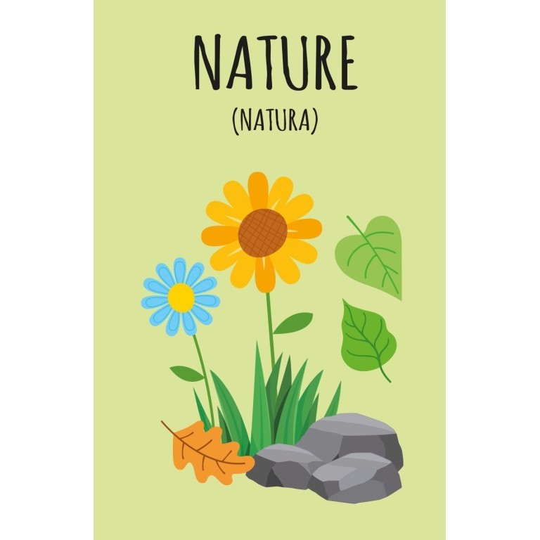 "La mia prima biblioteca-Imparo l'inglese" - Sassi