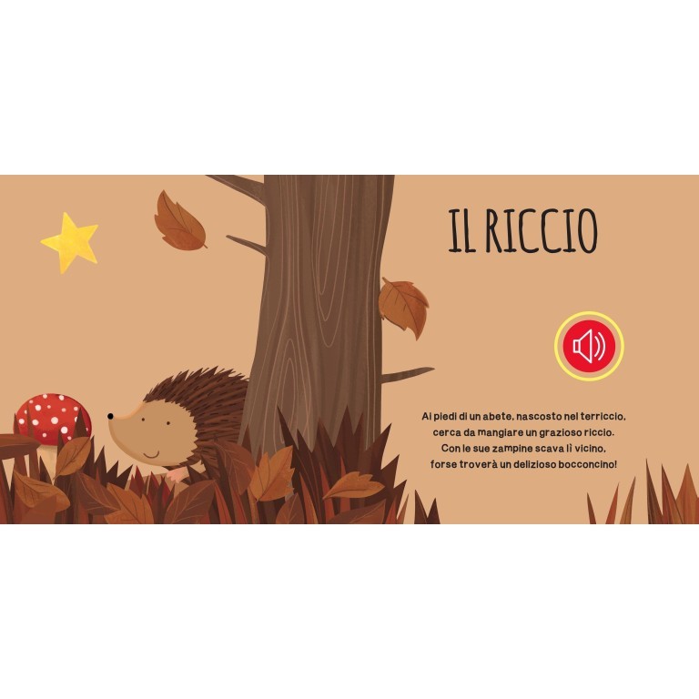 Libri sonori, Il Bosco - Sassi