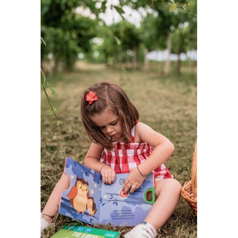Libri sonori, Il Bosco - Sassi