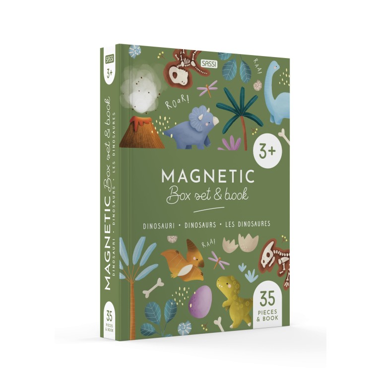 Magnetic box set. Dinosauri - Sassi