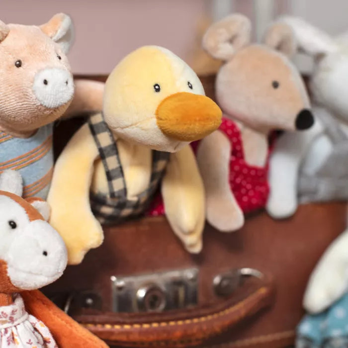 Anatra Amedeo 20 cm - Moulin Roty