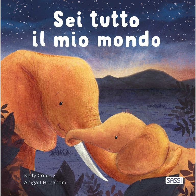 Sei tutto il mio mondo - Sassi