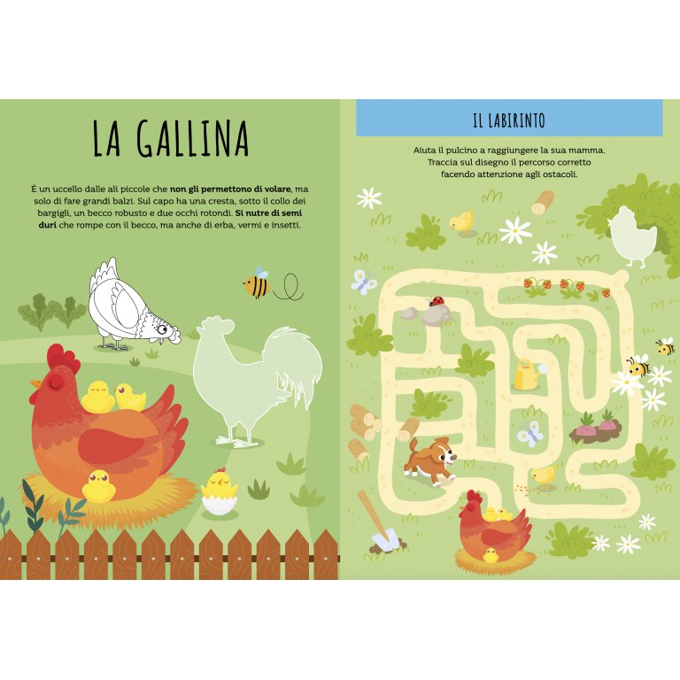 Il Giardino - Sassi